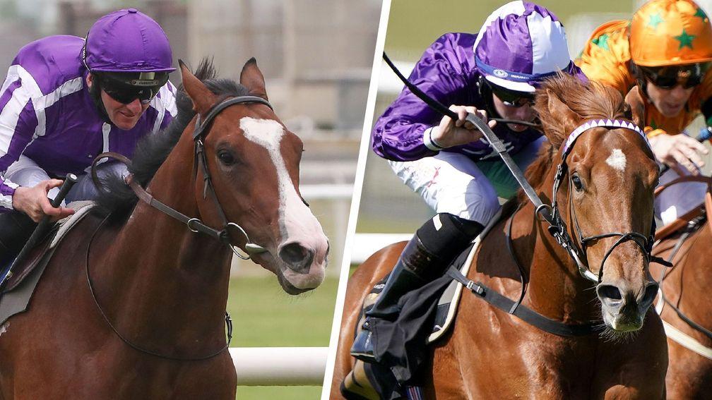 Point Lonsdale (left) and Forca Brasil: well fancied in next week's Ascot two-year-old races