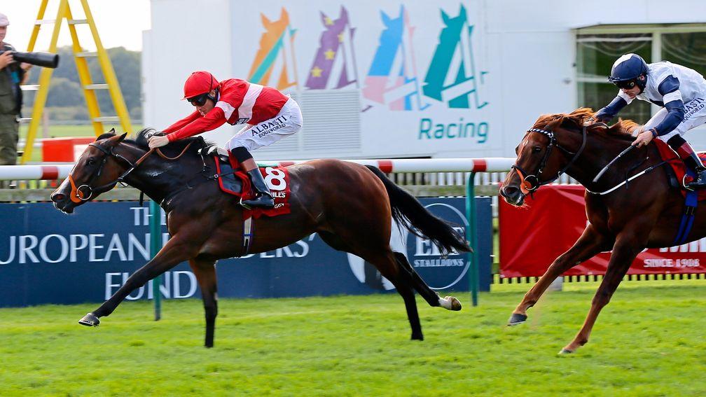 Tiggy Wiggy: the champion two-year-old filly in Europe in 2014