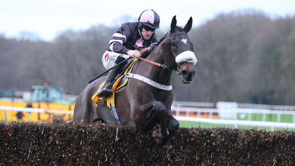 Sam's Adventure springs a 14-1 surprise in the Tommy Whittle