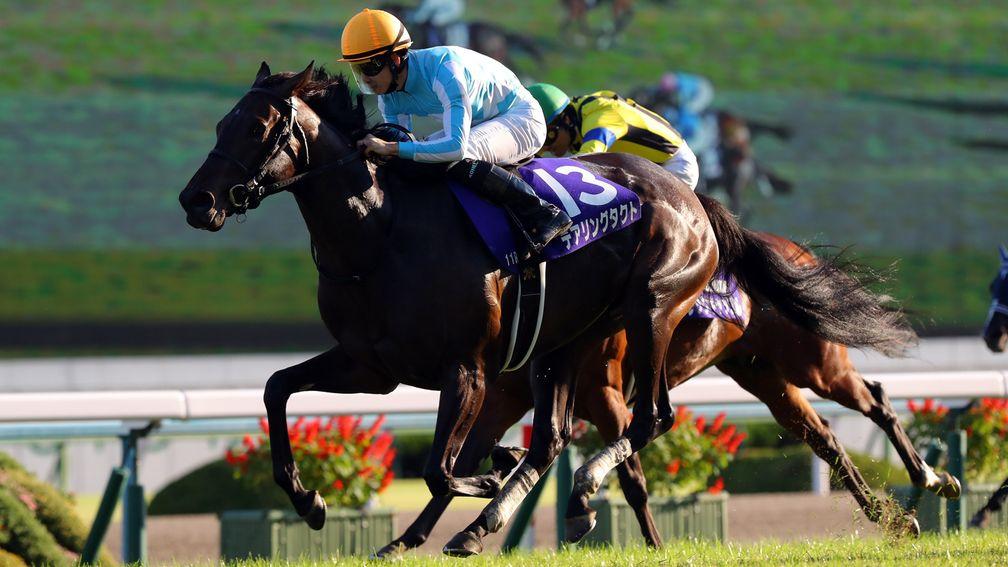 Daring Tact: landed the Shuka Sho at Kyoto to complete the Japanese Fillies' Triple Crown