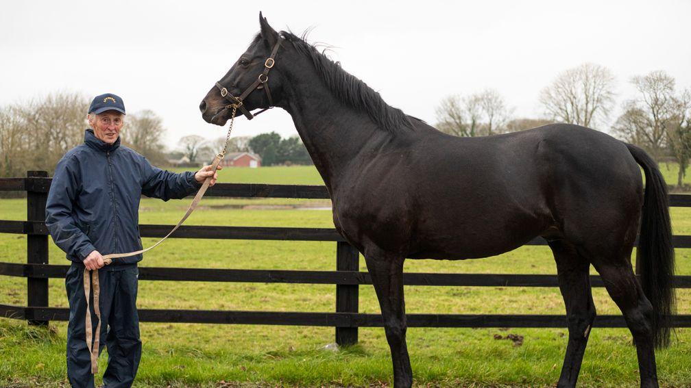 Affinisea: the busiest stallion this year in England and Ireland