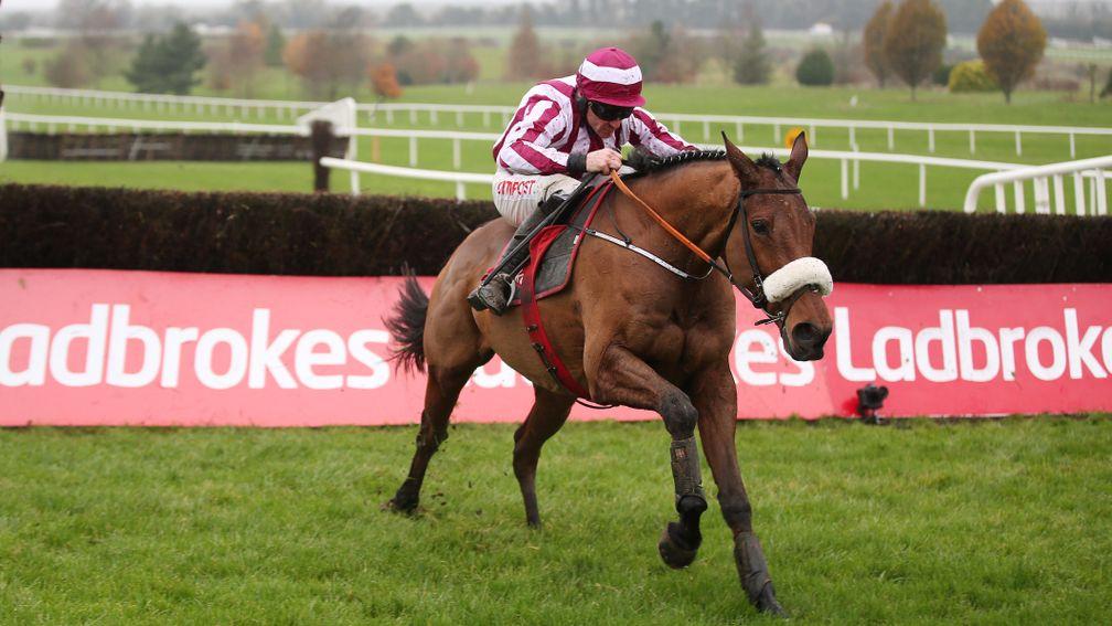 Mala Beach: will take his chance in the Irish Gold Cup at Leopardstown