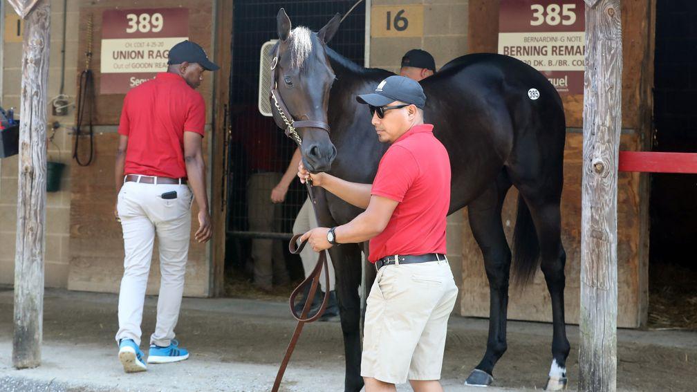 The son of Bernardini, consigned by Sequel Bloodstock, took everything in his stride