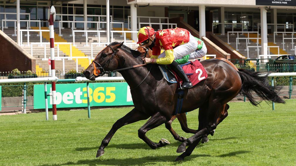 Cobh: goes in search of a first Group 2 success in the Royal Lodge