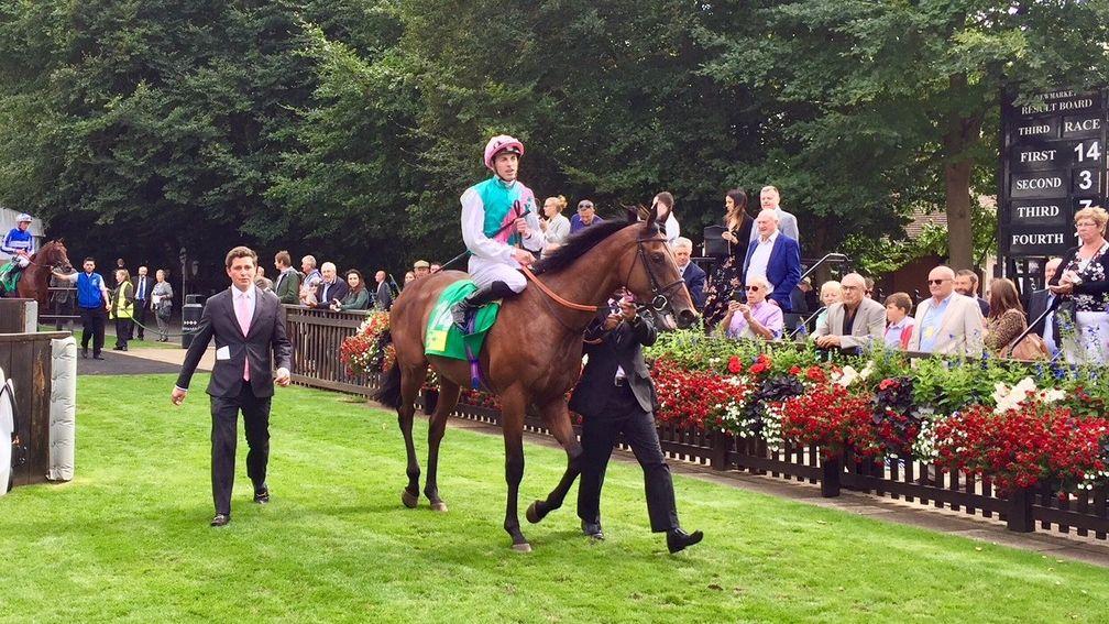 Sangarius and James Doyle after making a winning debut at Newmarket