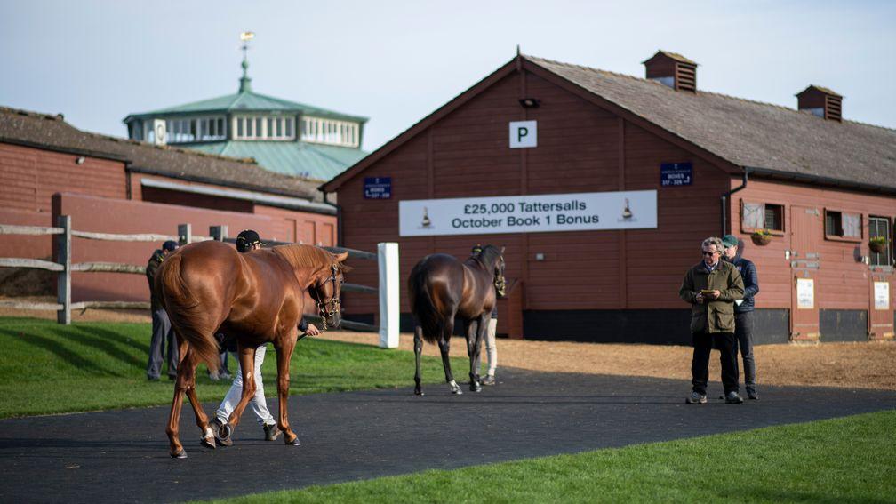 Tattersalls: the December Foal Sale will now start at 10am