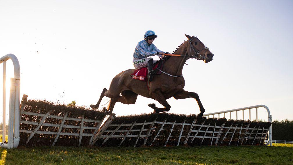 Honeysuckle: set for the Hatton's Grace Hurdle at Fairyhouse later this month