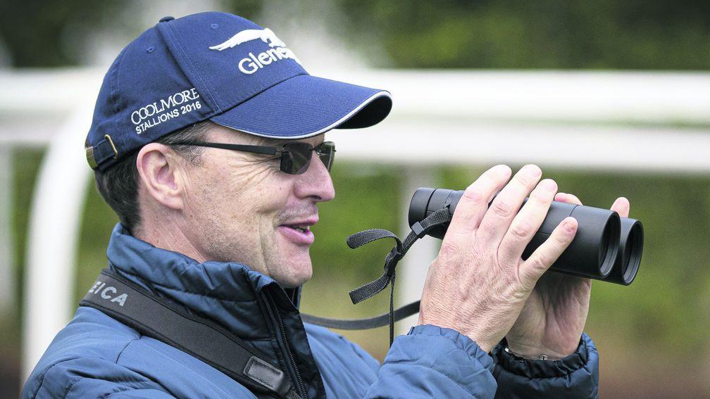 Aidan O'Brien: holds the key to the Beresford Stakes