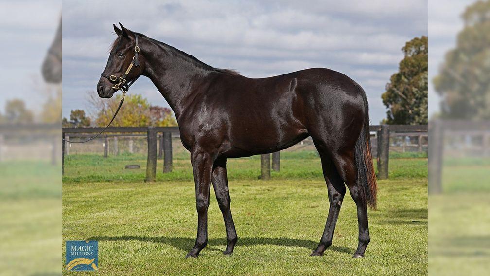 Rob Ferguson's three-hour buying session included this A$160,000 Lonhro filly