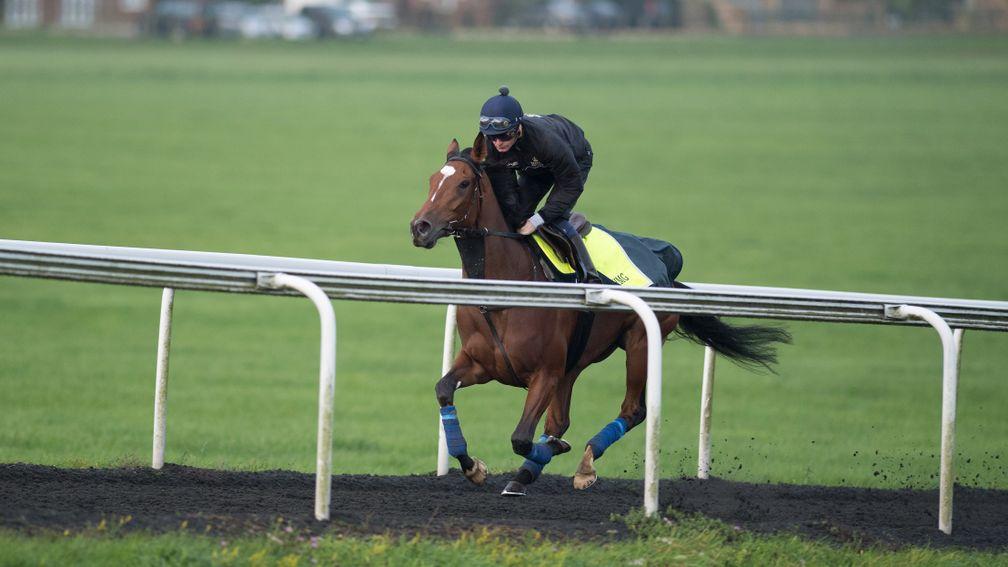Enable powers up Warren Hill during her final piece of work before the Arc