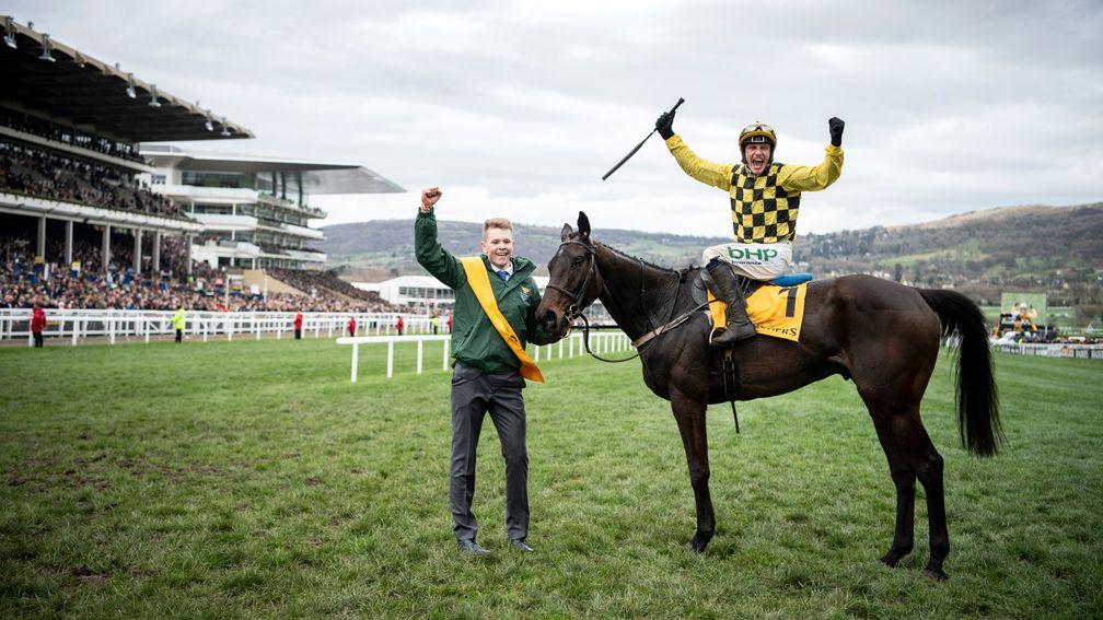 Al Boum Photo: a two-year-old brother to the Cheltenham Gold Cup hero will be offered for sale on Tuesday
