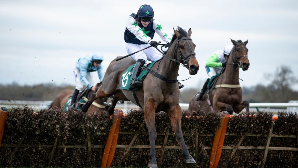 Warwick: had to cancel its Victory in Europe raceday due to the suspension of racing