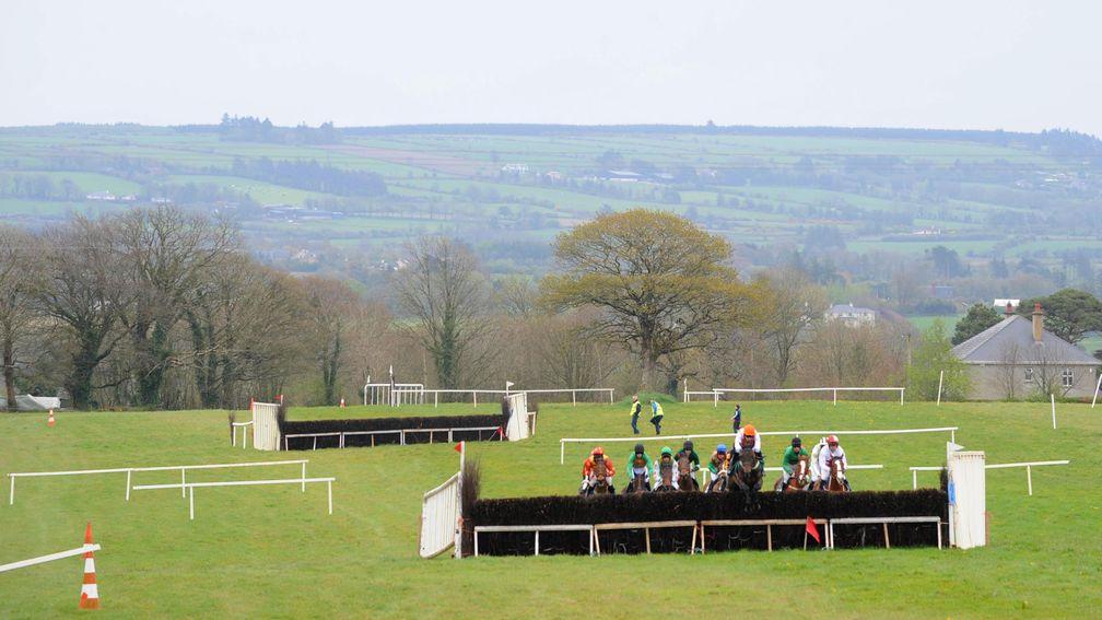 Point-to-point racing at Dromahane
