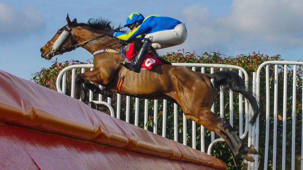 Going the right way: Speredek and Danny cook on the way to victory at Sandown last February
