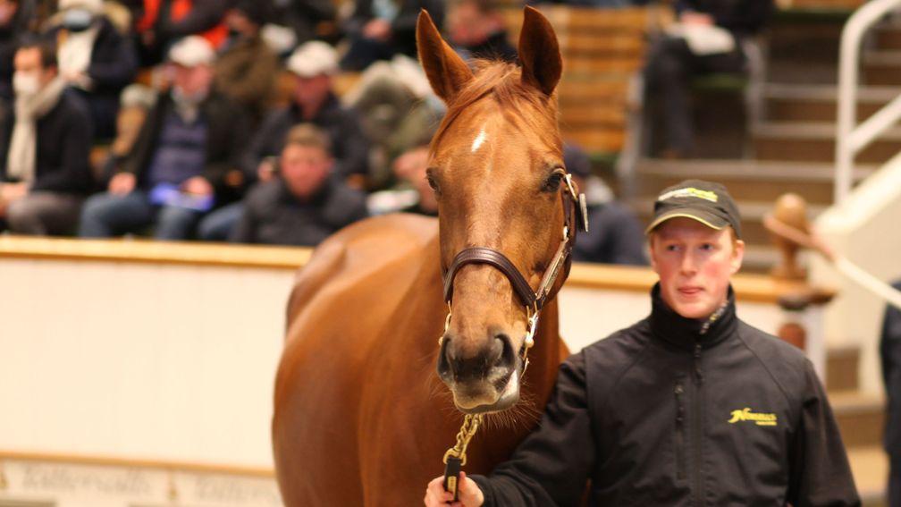 Waldlied: Group 2-winning daughter of New Approach and 