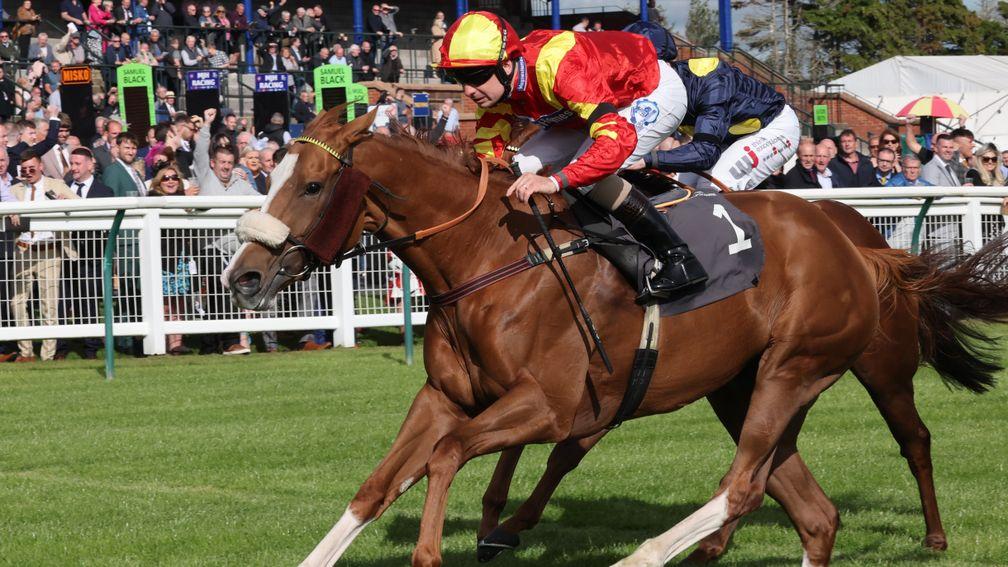 In-form Connor Beasley landed the Arran Scottish Sprint Fillies' Stakes on Gale Force Maya