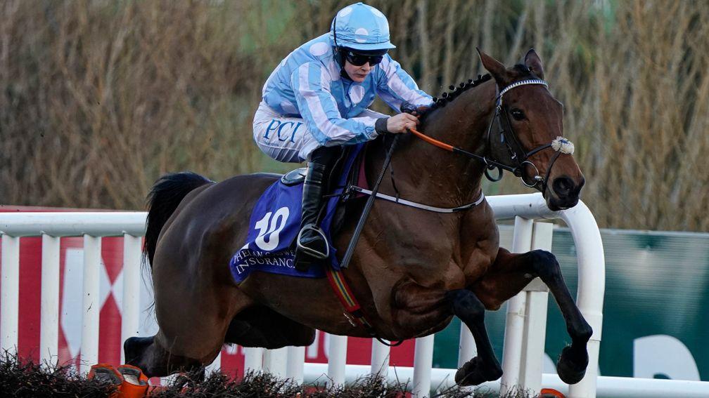 Honeysuckle: will run in the Champion Hurdle if she wins at Leopardstown
