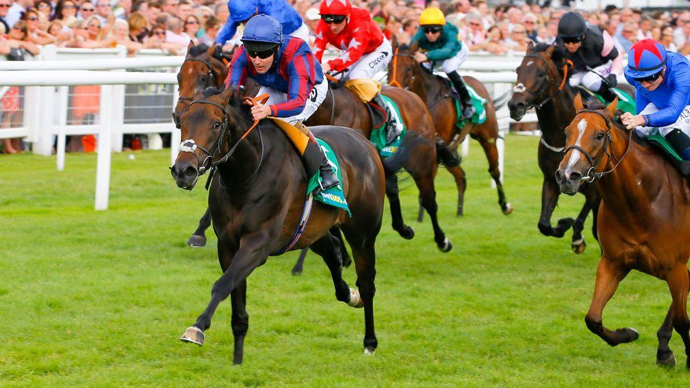 The Tin Man (Tom Queally. left) wins the Hackwood Stakes at Newbury three years ago from Divine (Freddie Tylicki, right)