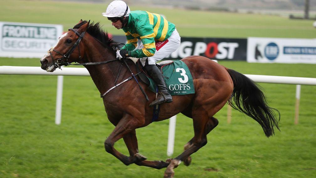 Rhinestone is priced between 14-1 and 16-1 for the Champion Bumper at Cheltenham after an impressive win at Thurles