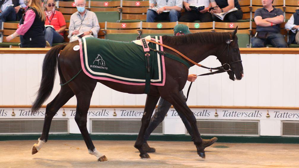 Diderot: son of Bated Breath sells for 90,000gns