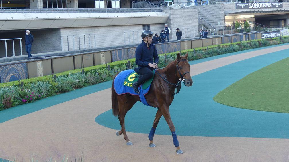 Tunnes and Bauyrzhan Murzabayev get a feel for the Tokyo parade ring on Friday
