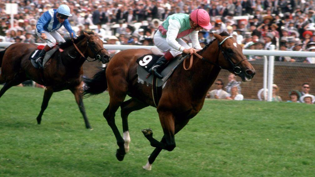 Danehill flies to a course-record success under Willie Carson in the 1989 Cork and Orrery
