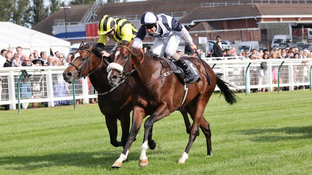 Prairie Falcon (right) was another winner for Michael Dods and Connor Beasley