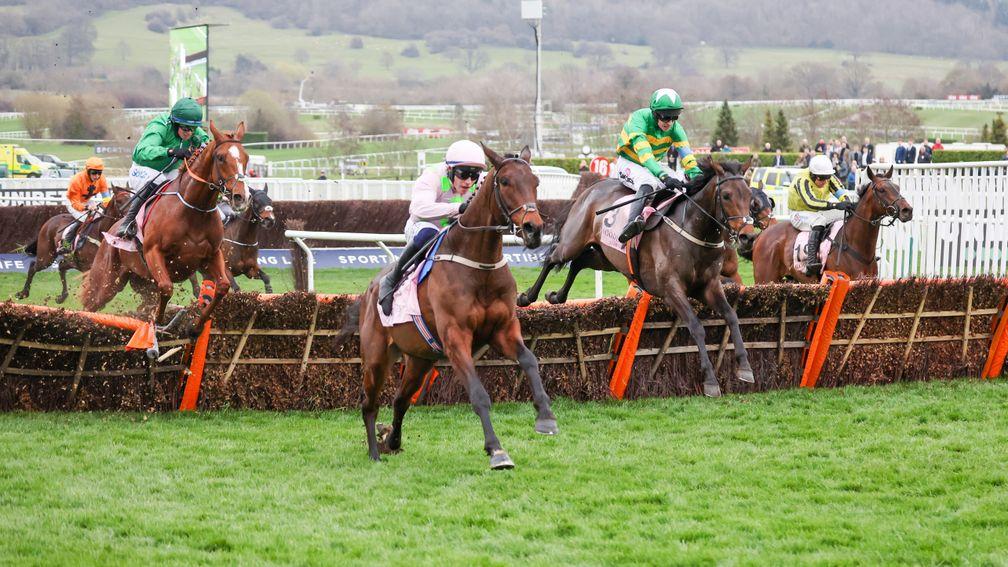 Gaelic Warrior (leading) had jumped the last ahead of Brazil (green and yellow)