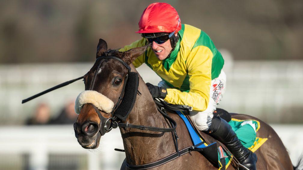 Magic Of Light: Harrington's Grand National runner-up is set to take her chance at Ascot on Saturday