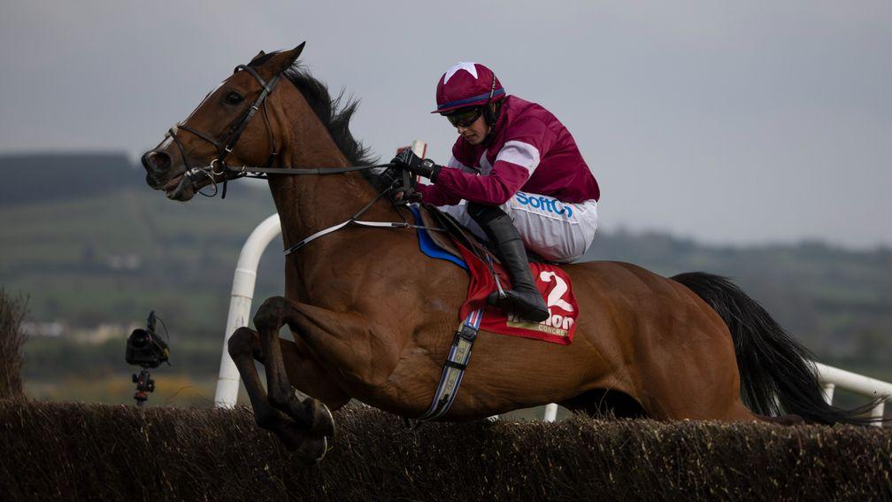 Scarlet And Dove: had been a leading ante-post fancy for the Mrs Paddy Power Mares' Chase at Cheltenham
