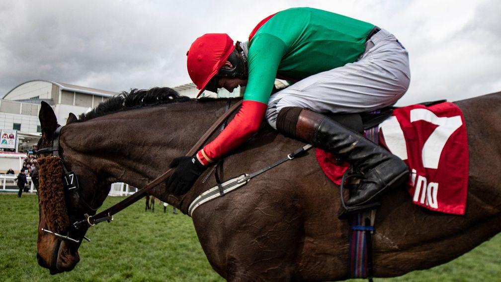 The Conditional: joint favourite for Saturday's Ladbrokes Trophy at Newbury