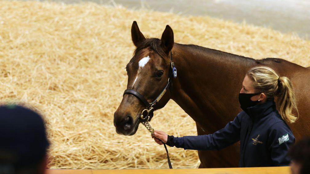 Lot 1,731: Beach Frolic in the Tattersalls ring