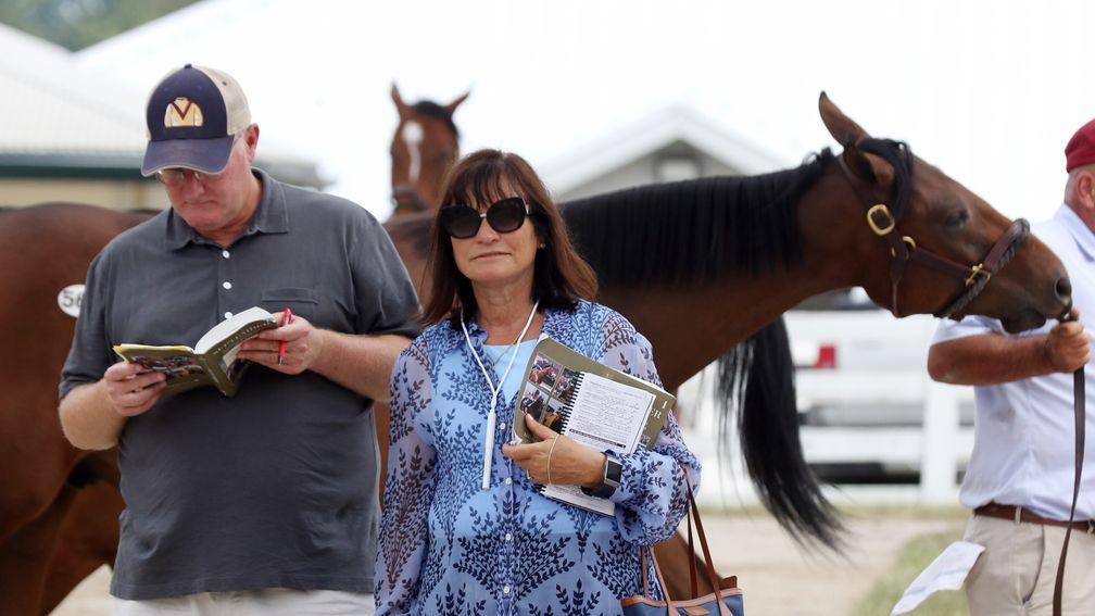 Barbara Banke is considering stallion options for Lady Aurelia