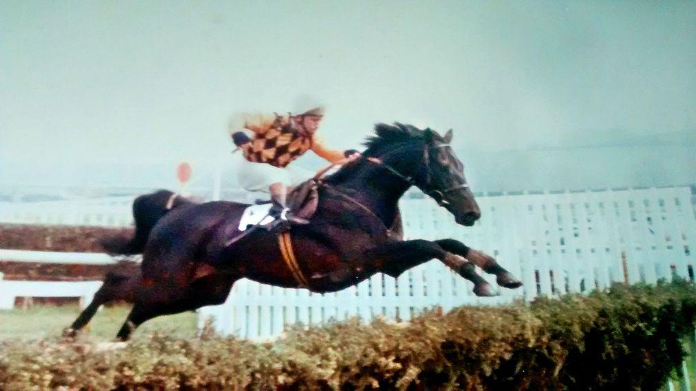 Clive Bailey in action. The hurdles specialist spent most of his career with Toby Balding