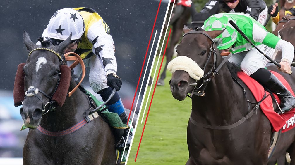 Commanche Falls and Anaaf: who will come out on top at Ascot?