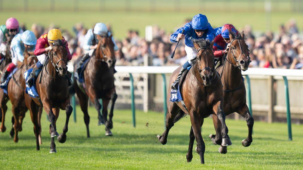 Native Trail: an emphatic winner of the Dewhurst Stakes under William Buick