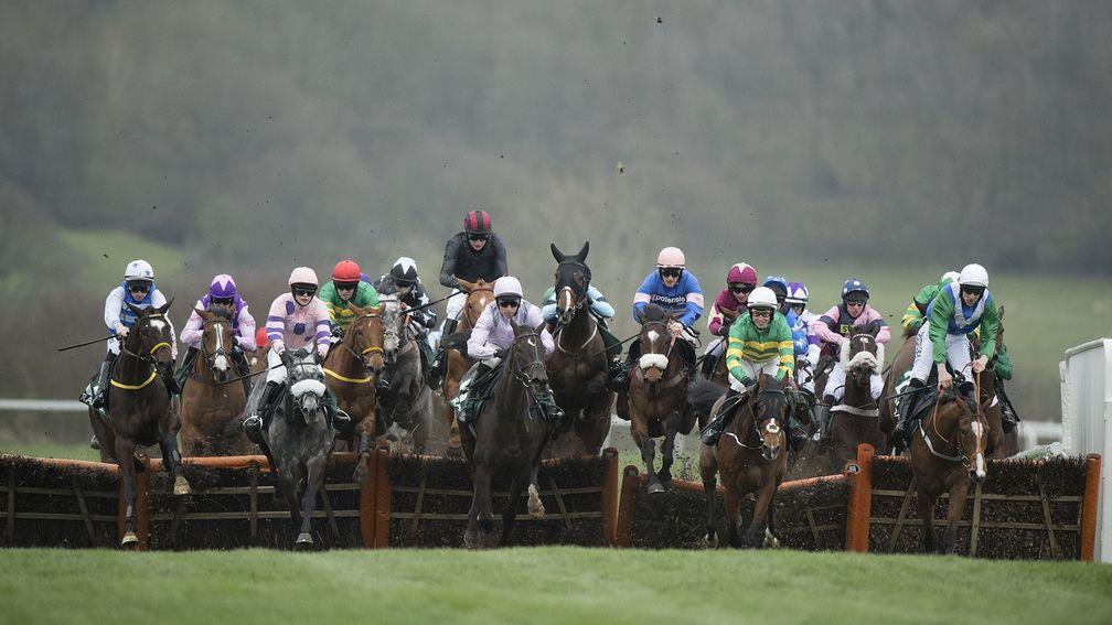 Cheltenham: the fatalities report included 17 recommendations for the festival