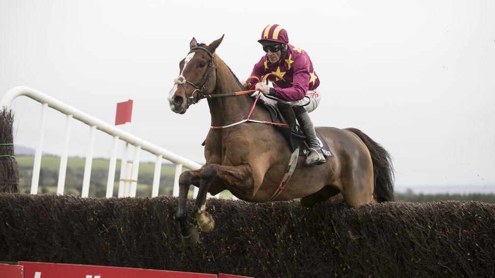Monalee makes an impressive start to his chasing career at Punchestown last month