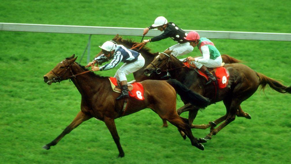 The great Miesque beats Milligram and Interval to land the 1987 1,000 Guineas