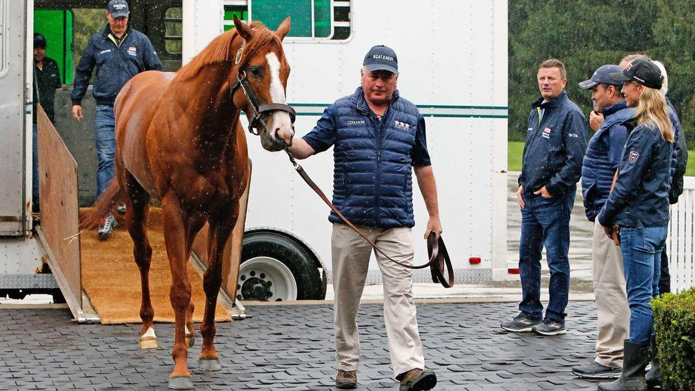 Ashford stallion manager Richard Barry leads Justify off the van as stud manager Dermot Ryan (left of the group on the right) and breeder Tanya Gunther (right), among others, look on