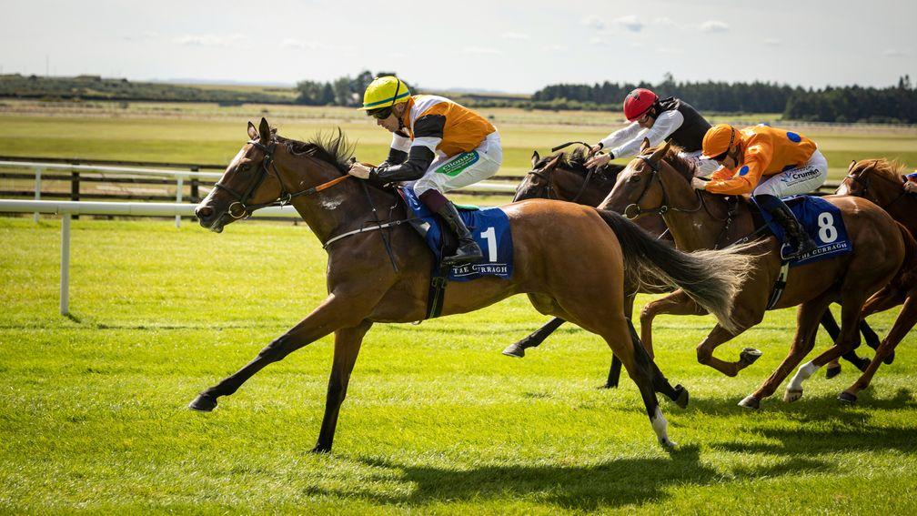 Aspen Grove: 'won nicely at the Curragh'