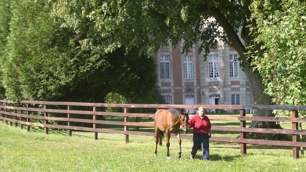 Yearling prep takes place at the picturesque Haras de Gouffern