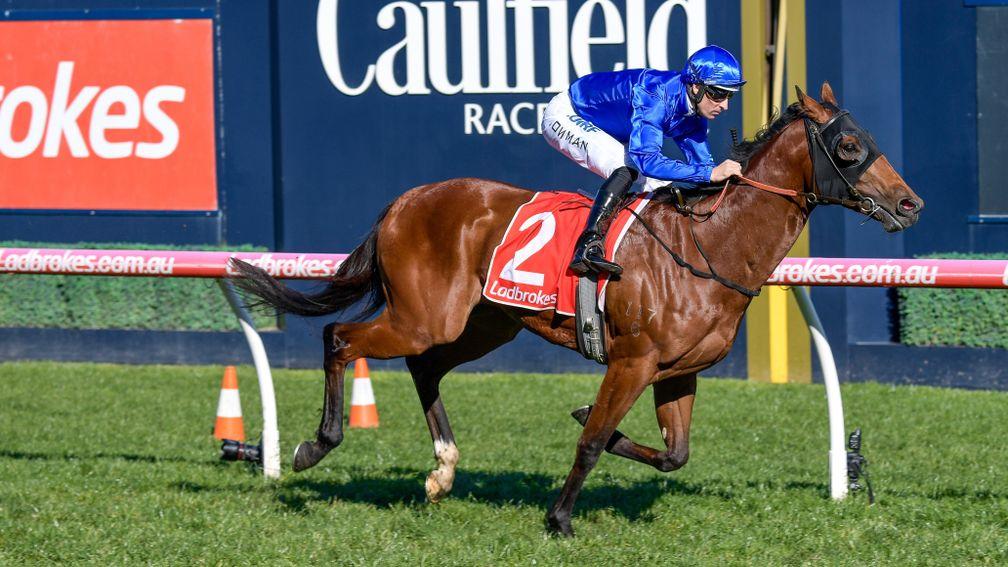 Bivouac: exciting new addition to Darley Australia's roster