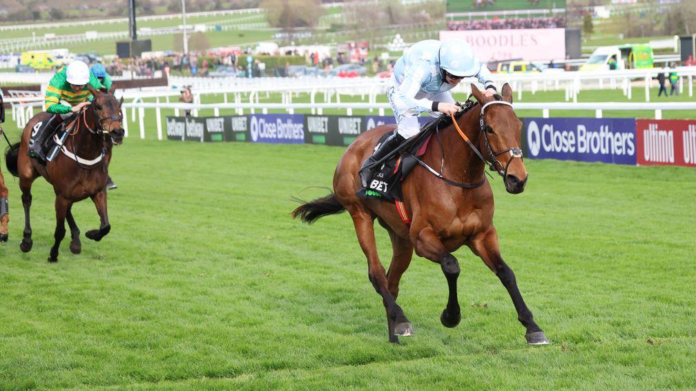 Honeysuckle maintains her unbeaten record as she powers home in the Champion Hurdle but will face a mighty opponent in Constitution Hill this season