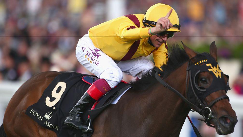 Lady Aurelia: could threaten broodmare record prices when she comes under the hammer