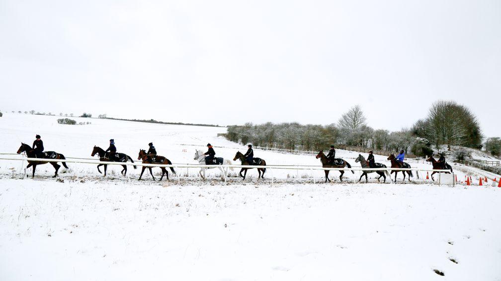 Brian Ellison's string are not put off by the Beast from the East as they exercise in the Malton gallops on Tuesday