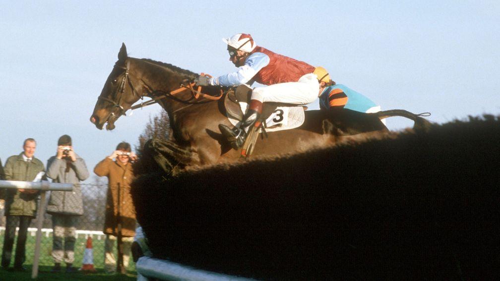 Wayward Lad and Robert Earnshaw in full flight at Kempton in 1984. 12 months later it would be Graham Bradley onboard for a historic third King George success