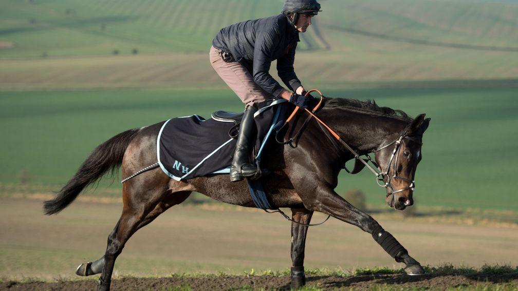 Altior (Toby Lawes) exercises up the hill at Seven Barrows in Lambourn