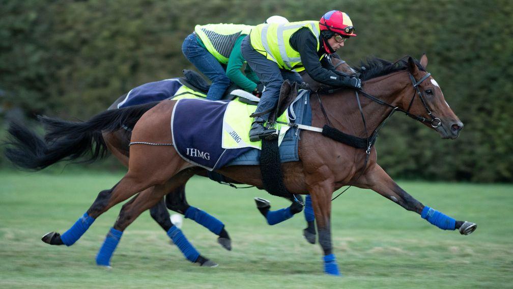 Frankie Dettori puts Enable through a pre-Arc workout on the Limekilns round gallop at Newmarket on Saturday morning