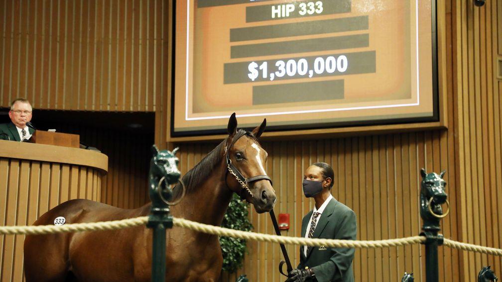 The Curlin colt bought by MV Magnier for $1.3 million